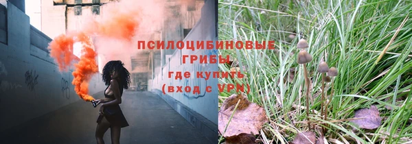 ГАЛЛЮЦИНОГЕННЫЕ ГРИБЫ Зеленодольск