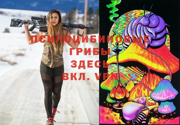 бошки Зерноград