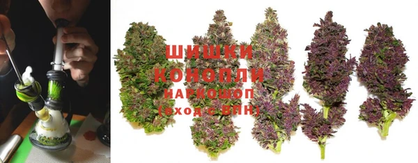 ГАЛЛЮЦИНОГЕННЫЕ ГРИБЫ Зеленодольск