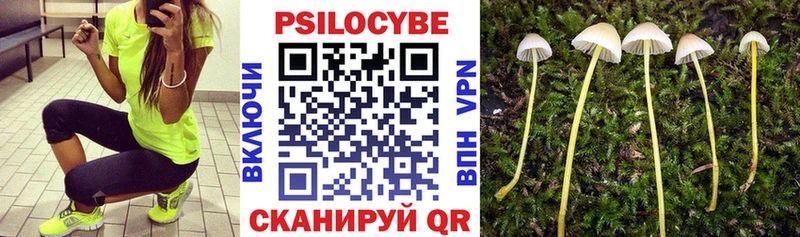 Псилоцибиновые грибы Magic Shrooms  Купить  Новотитаровская 